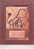 GNU Health - Individual Award 2018 - Lorena Enebral